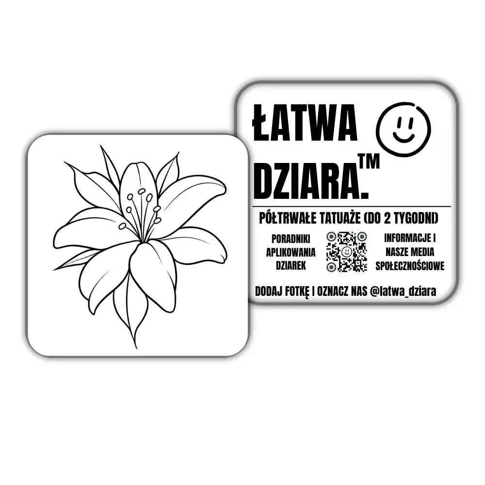 Zdjęcie produktu 1